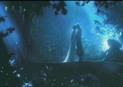Aragorn's Secret Diary...