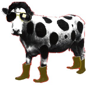 MOO! -baby-